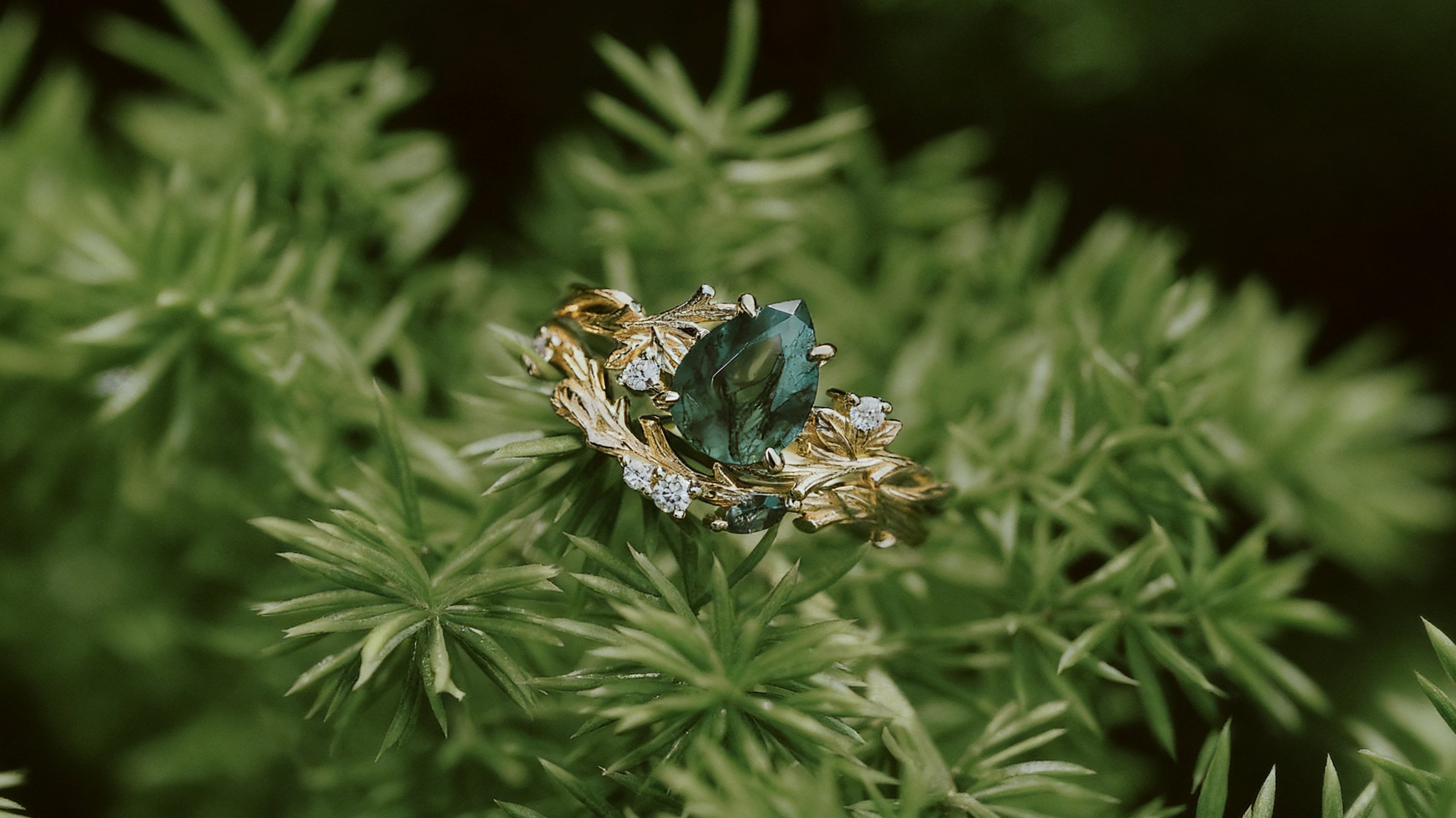 Why are pear-shaped diamond rings becoming increasingly popular?